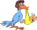 Cigogne